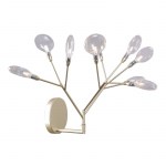 evita-ap9-gold-transparent_17745_1